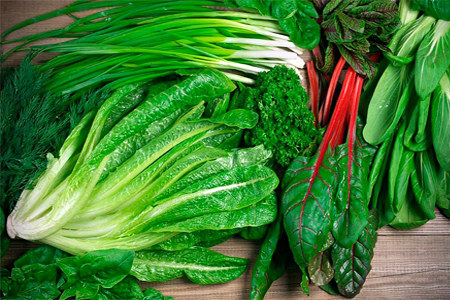 Листовая зелень Листовая зелень