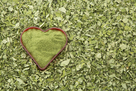 Медицинские препараты из любистока Медицинские препараты из любистока