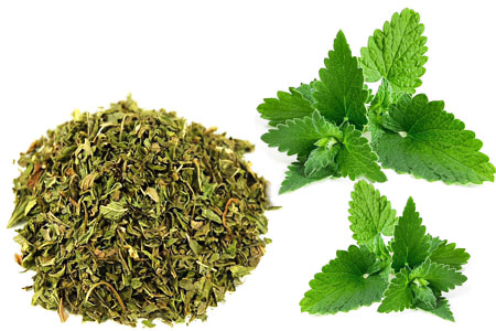 Мелисса Мелисса