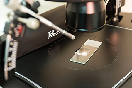 Микроскопическое исследование Микроскопическое исследование