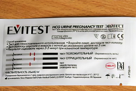 Может ли тест на беременность Evitest ошибаться Может ли тест на беременность Evitest ошибаться