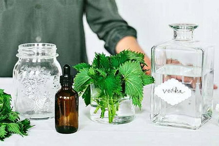 Настойка крапивы Настойка крапивы