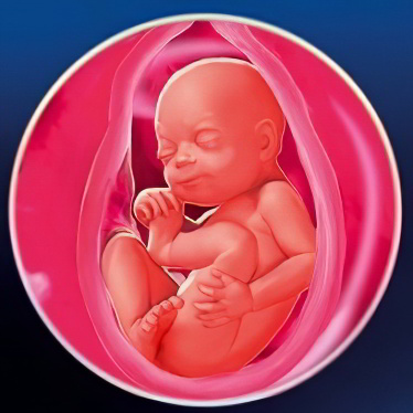 28 неделя беременности 28 неделя беременности