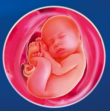 37 неделя беременности 37 неделя беременности