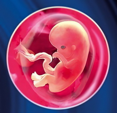 на 7 неделе на 7 неделе