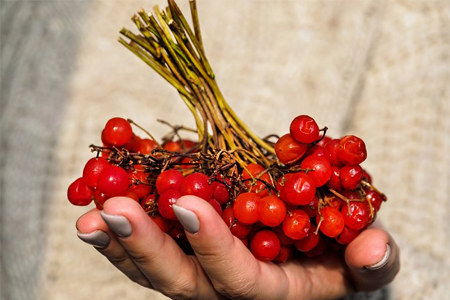 Нормы потребления Нормы потребления