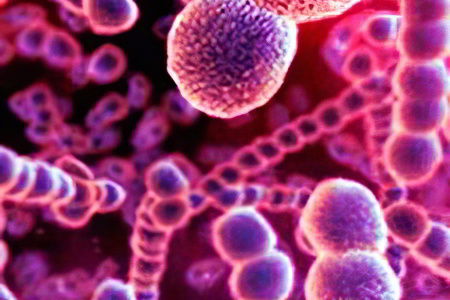 Основные причины дерматомиозита Основные причины дерматомиозита