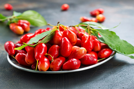 Оздоравливает головной мозг Оздоравливает головной мозг