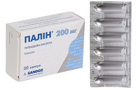 Палин Палин