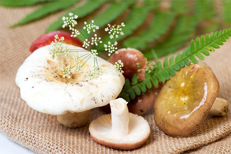 Возможные побочные эффекты Возможные побочные эффекты