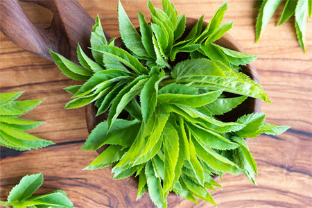 6 полезных свойств сныти 6 полезных свойств сныти