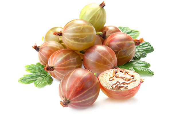 Польза ягод крыжовника Польза ягод крыжовника