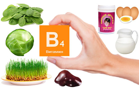 Польза холина Польза холина