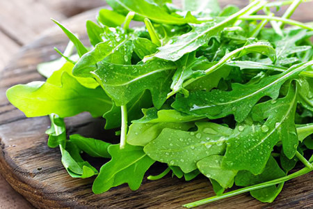 Польза рукколы для здоровья Польза рукколы для здоровья