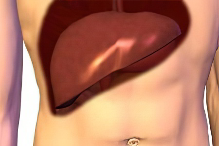 Причины болезней печени Причины болезней печени