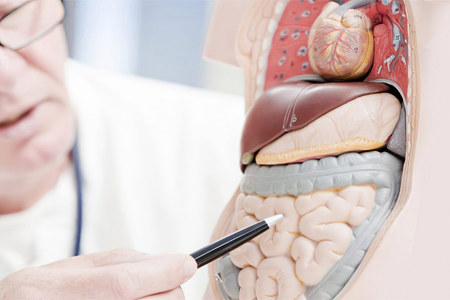 Причины развития энтероколита Причины развития энтероколита