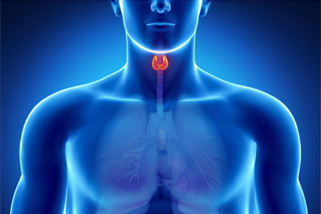 Причины снижения уровня кальция Причины снижения уровня кальция