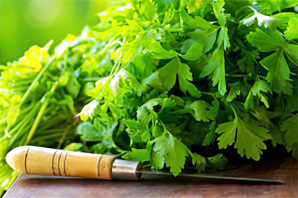 Применение петрушки Применение петрушки