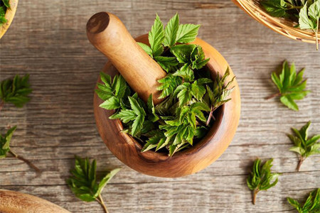 Профилактика заболеваний сердца и рака Профилактика заболеваний сердца и рака