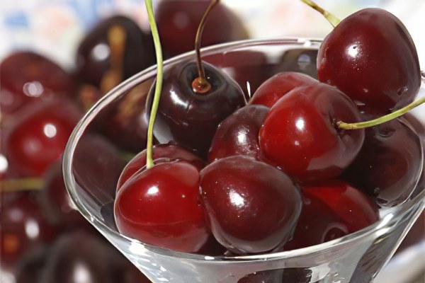 Противопоказания к употреблению вишни Противопоказания к употреблению вишни