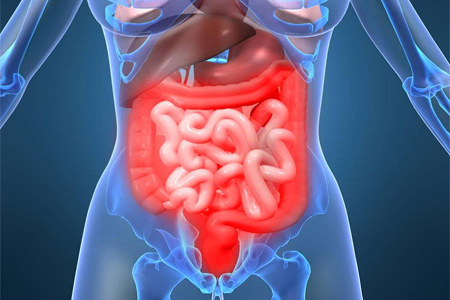 Основные разновидности Основные разновидности