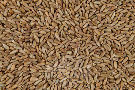 Ржаная крупа Ржаная крупа