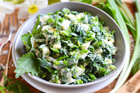 Салат из крапивы Салат из крапивы