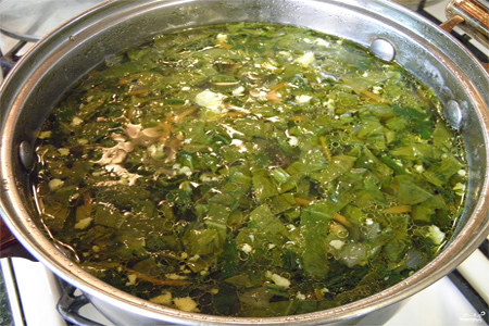 Щи из ряски и щавеля Щи из ряски и щавеля