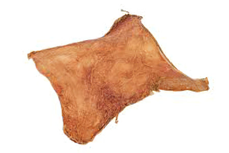 Желудок верблюда Желудок верблюда