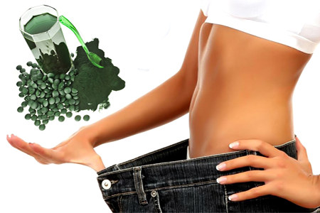 Спирулина для похудения Спирулина для похудения