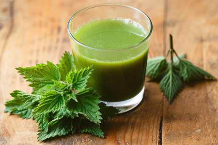 Сок крапивы Сок крапивы