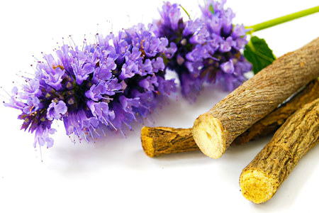 Солодка Солодка