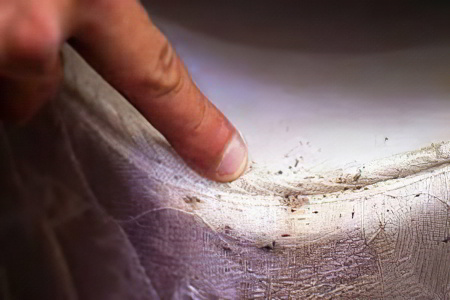 Способы выведения клопов Способы выведения клопов