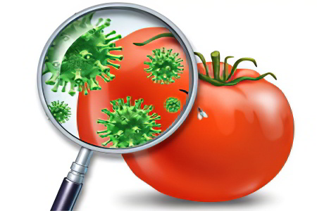 Токсикоинфекции Токсикоинфекции