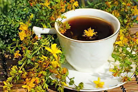 травы травы