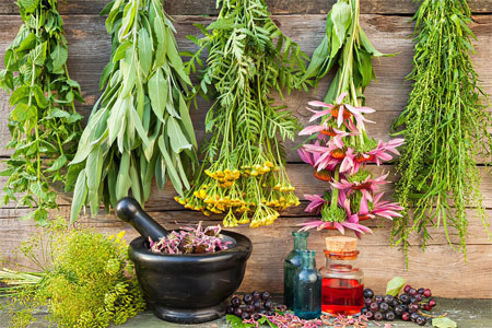 Вывод Вывод