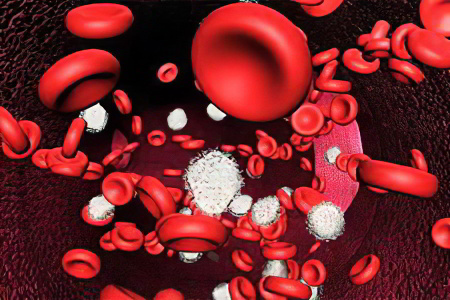 Возможные причины анемии всех степеней Возможные причины анемии всех степеней