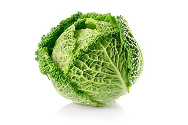 Вред капусты Вред капусты