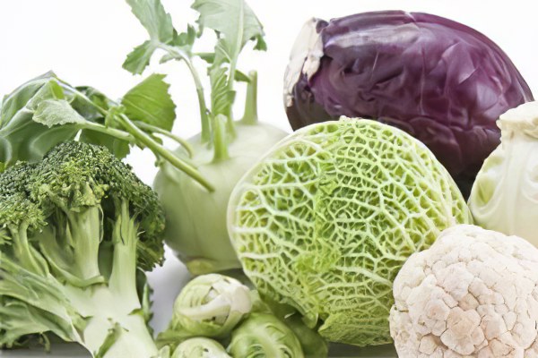 Вред капусты Вред капусты