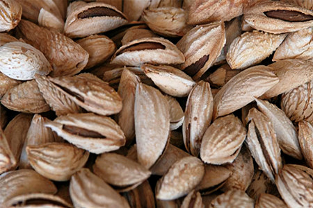 Вред и противопоказания Вред и противопоказания