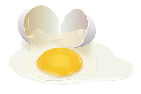 Белок свежего яйца Белок свежего яйца