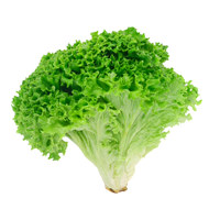 Зелень Зелень