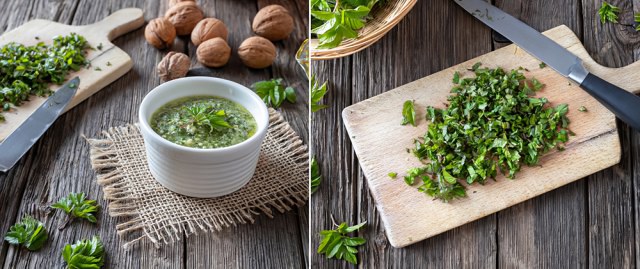 Зелёный суп из сныти Зелёный суп из сныти